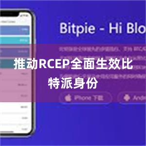 推动RCEP全面生效比特派身份